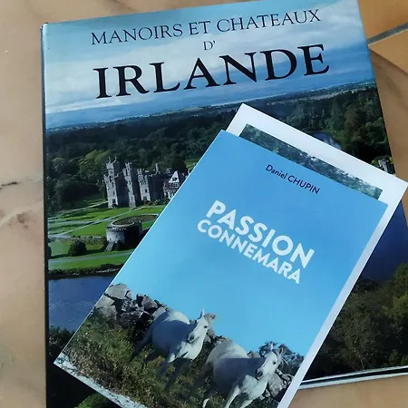 Maison De Campagne Au Coeur D'Un Elevage De Poneys Connemara Le Landreau Esterno foto